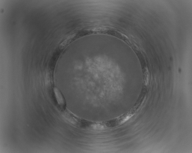 X0000051890272200506241356