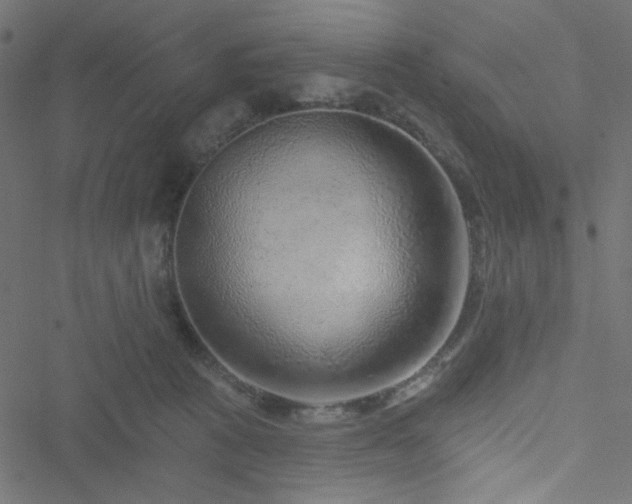 X0000051890273200506241356