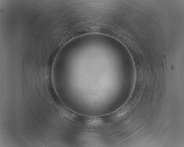 X0000051890274200506241356