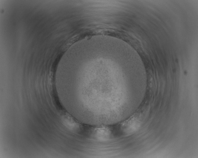 X0000051890275200506241356