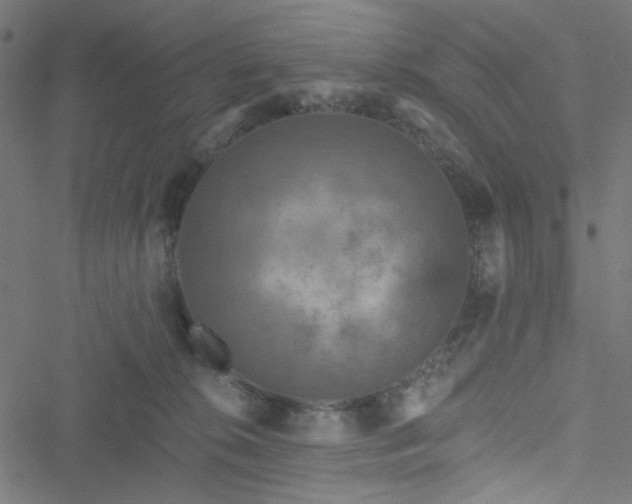 X0000051890276200506241356