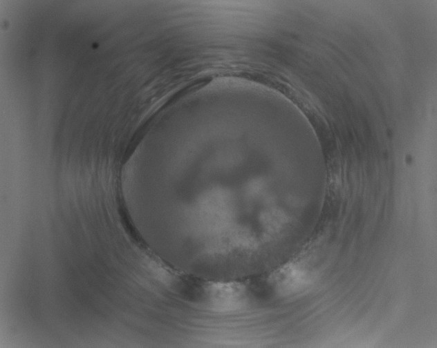 X0000051890277200506241356