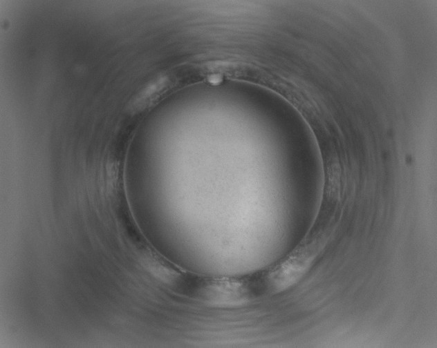 X0000051890278200506241356