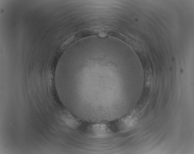 X0000051890279200506241356