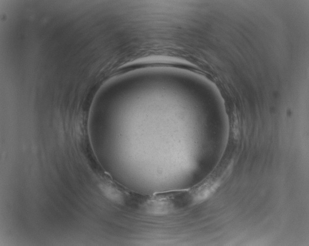 X0000051890280200506241356