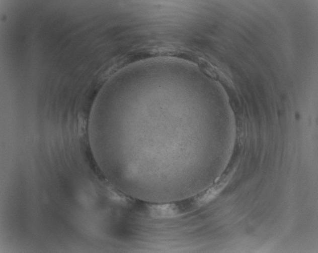 X0000051890281200506241357