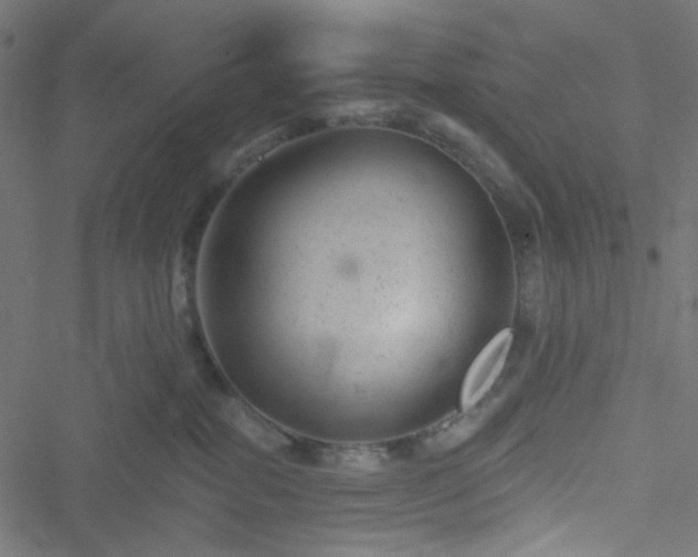 X0000051890282200506241357