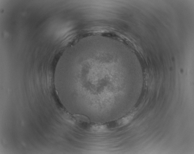 X0000051890283200506241357