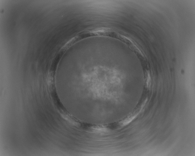 X0000051890284200506241357