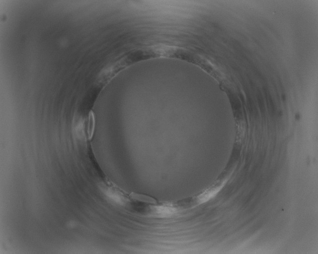 X0000051890286200506241357