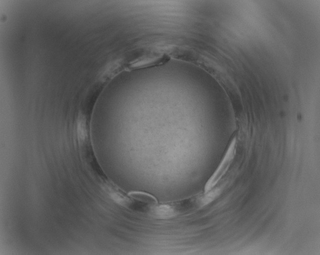 X0000051890287200506241357