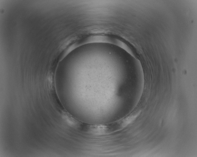 X0000051890288200506241357