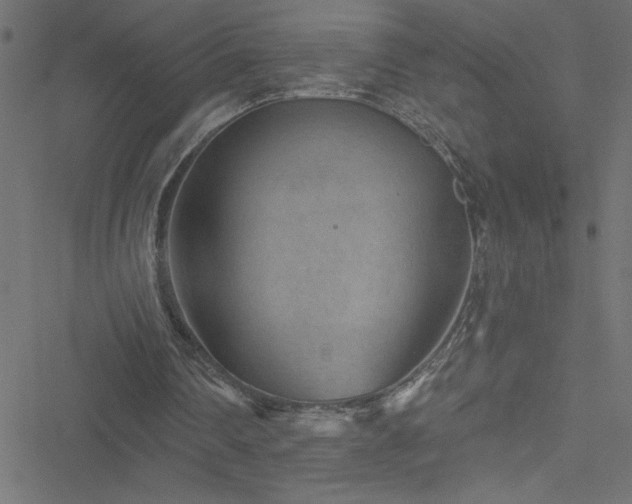 X0000051890290200506241356