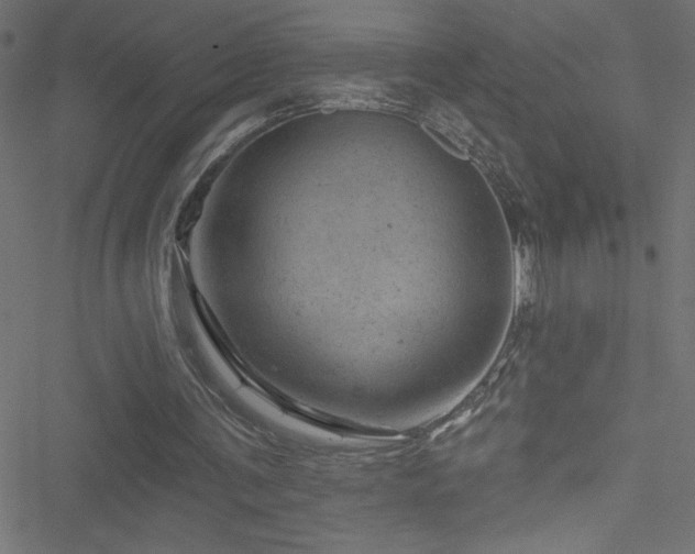 X0000051890291200506241356