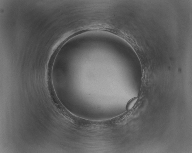 X0000051890292200506241356