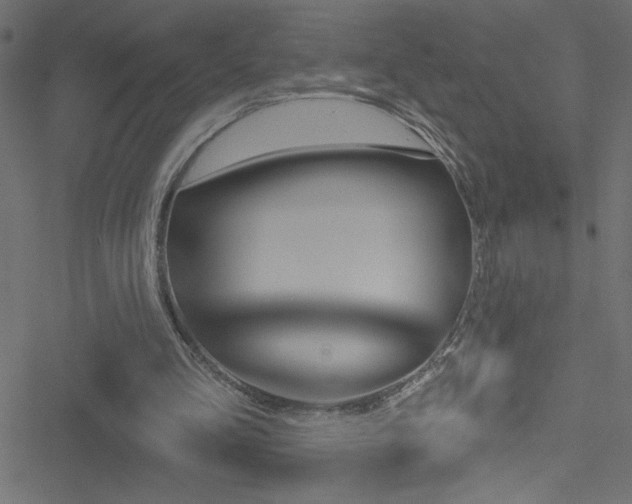 X0000051890293200506241356