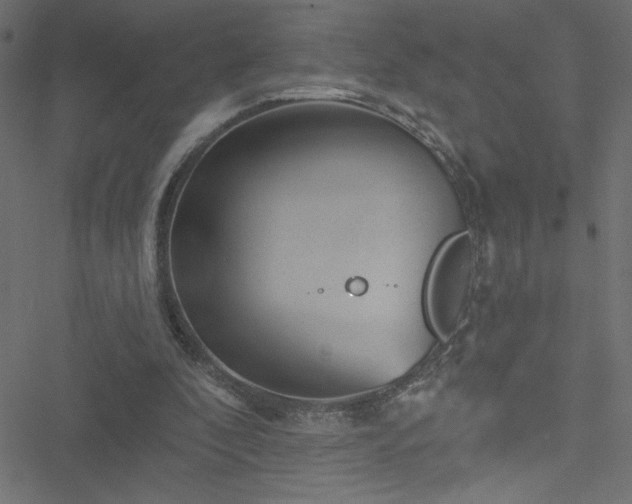 X0000051890296200506241356