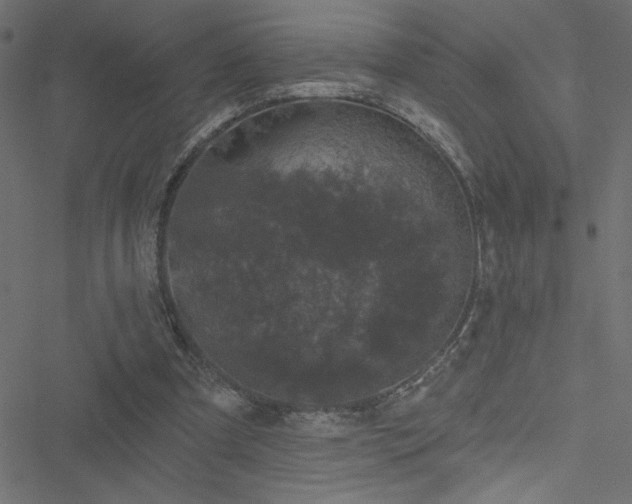 X0000051890297200506241356