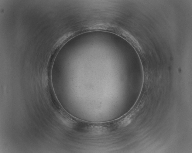 X0000051890298200506241356