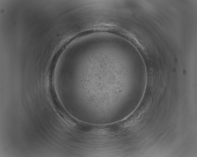 X0000051890299200506241356