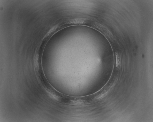 X0000051890300200506241356