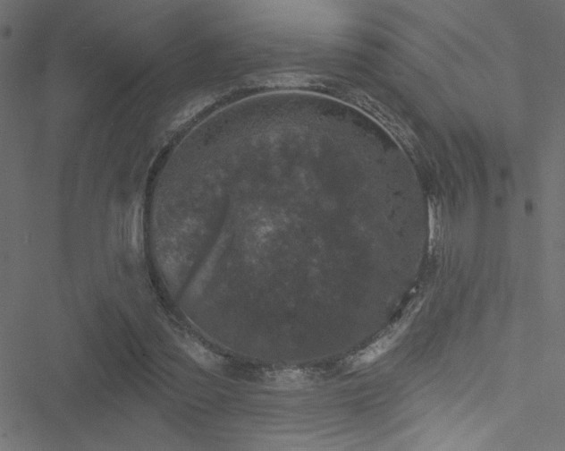 X0000051890301200506241356