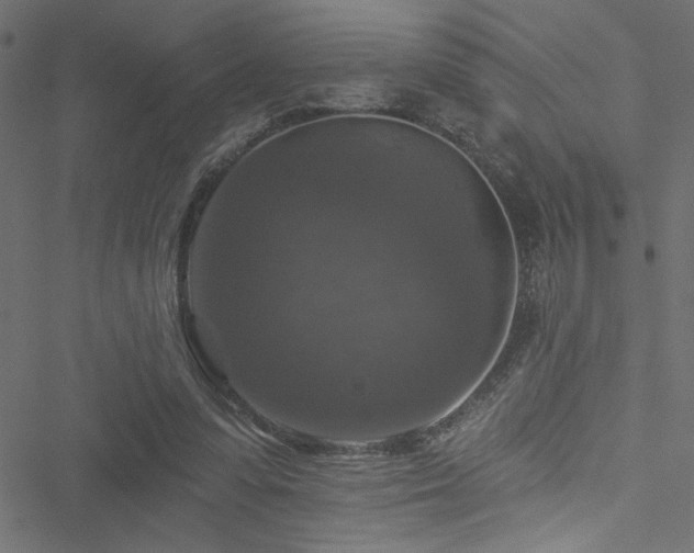 X0000051890303200506241356