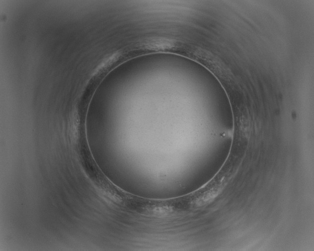 X0000051890304200506241356