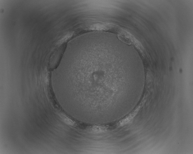 X0000051890305200506241356