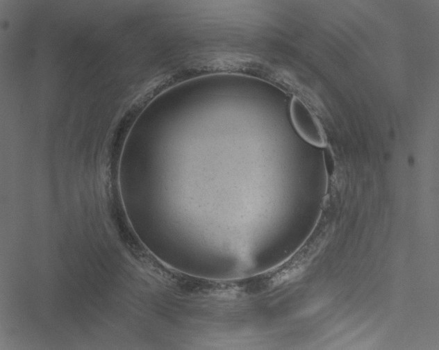 X0000051890306200506241356