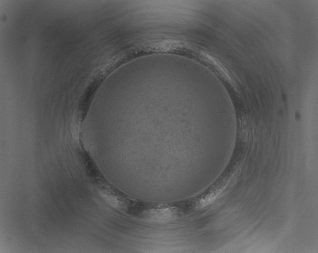 X0000051890307200506241356