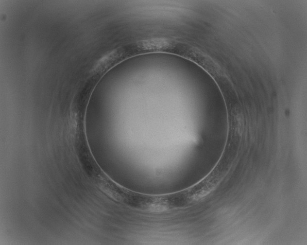 X0000051890308200506241356