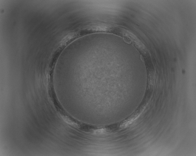 X0000051890309200506241356