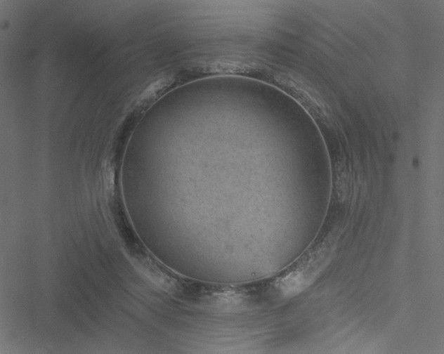 X0000051890310200506241356