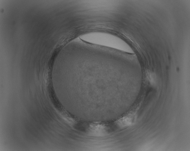 X0000051890311200506241355