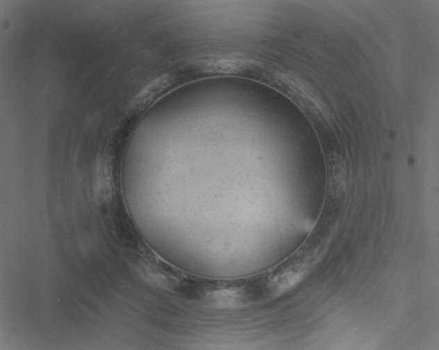 X0000051890312200506241355