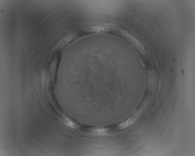 X0000051890313200506241355