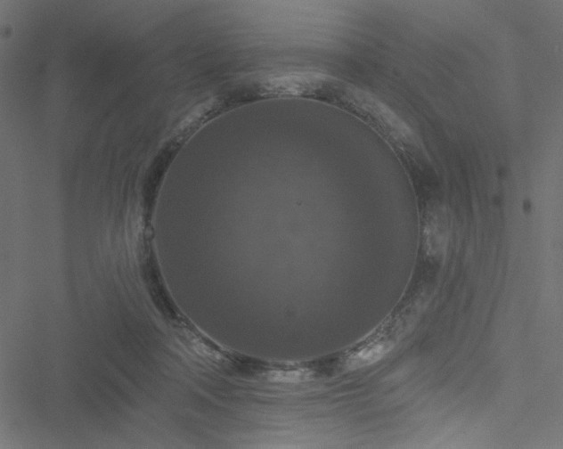 X0000051890314200506241355