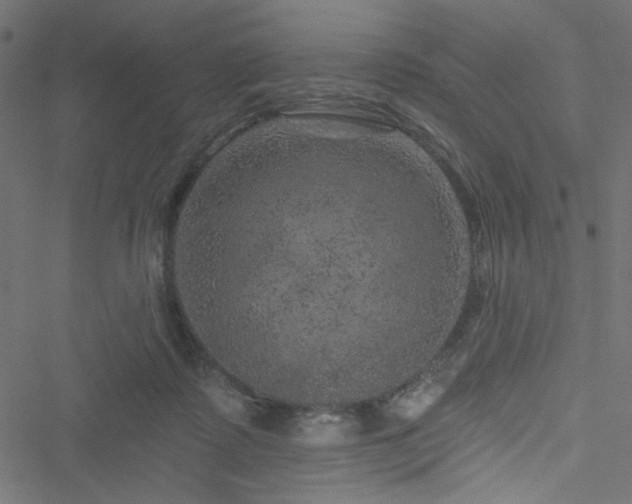 X0000051890315200506241355