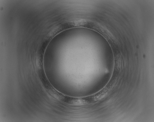 X0000051890316200506241355