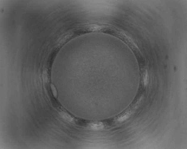 X0000051890317200506241355