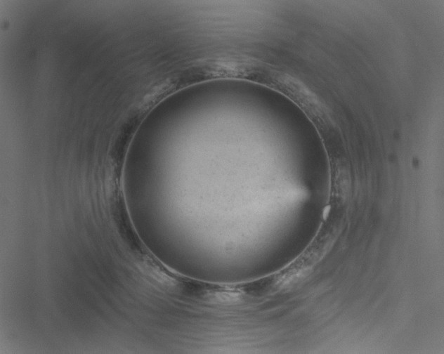 X0000051890318200506241355