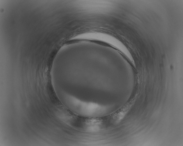 X0000051890319200506241355