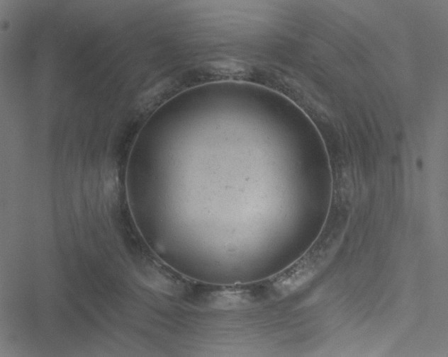 X0000051890320200506241355