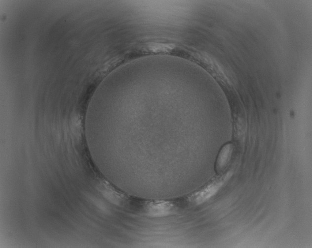 X0000051890321200506241355