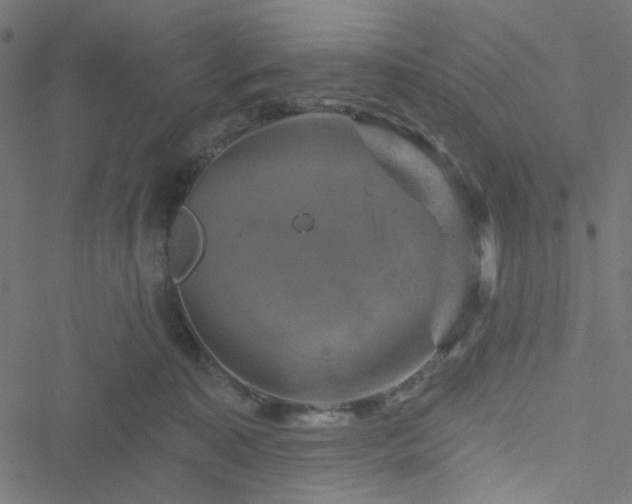 X0000051890323200506241355