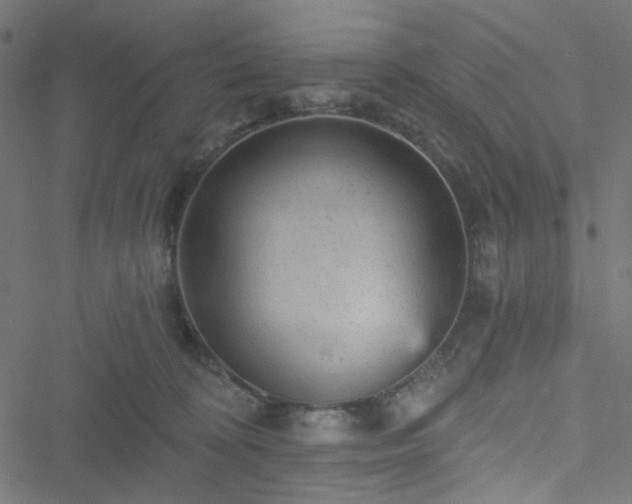 X0000051890324200506241355