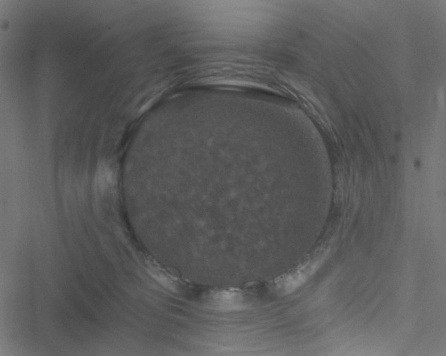 X0000051890325200506241355