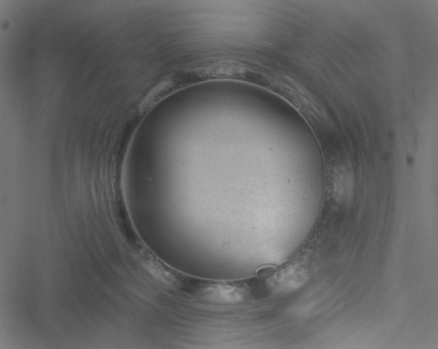 X0000051890326200506241355