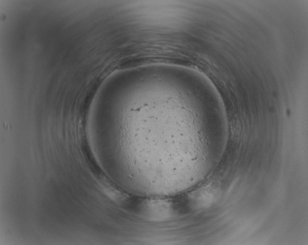 X0000051890327200506241355